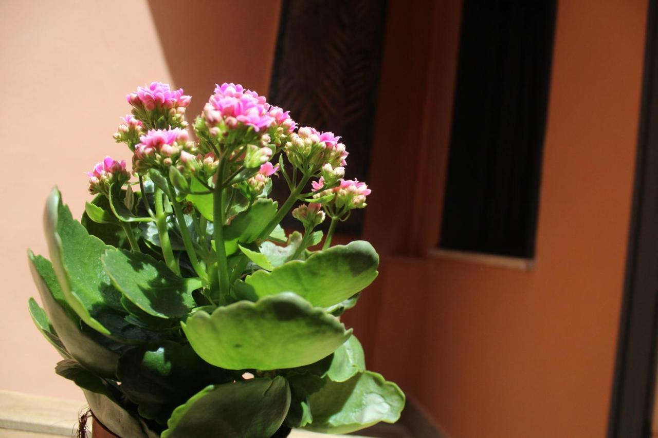 Lion Luxury Rooms Roma Ngoại thất bức ảnh